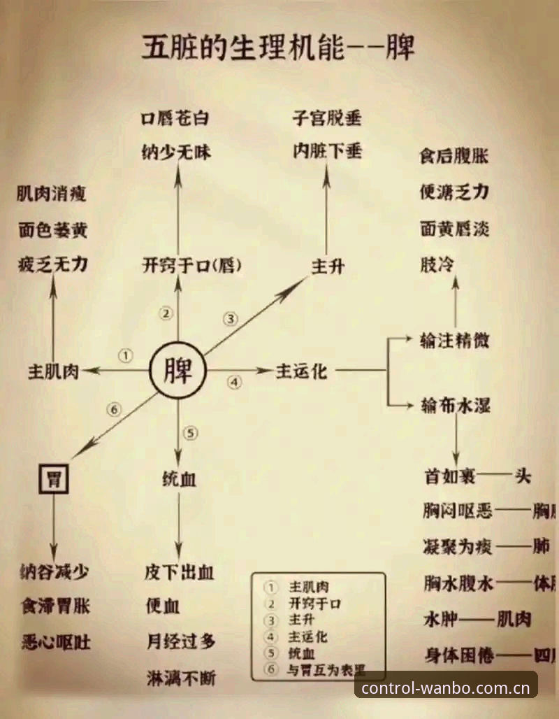 万博体育官网苹果功能详解 5个关键功能解析:万博体育官网苹果版如何提升投注体验与数据掌控力